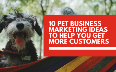Market your pet business 🐶 online with these digital marketing techniques