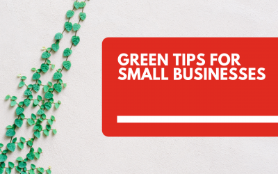 17 Green Tips for Small Businesses